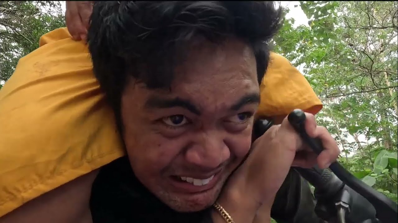 Pahatud Gamay