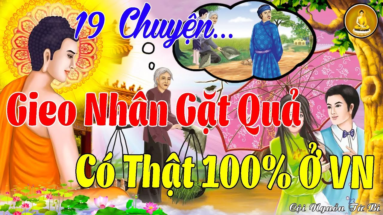 19 Chuyện Nhân Quả | GIEO NHÂN GẶT QUẢ - LUÂN HỒI BÁO OÁN | Có Thật 100% Ở Việt Nam, Nên Nghe 🙏