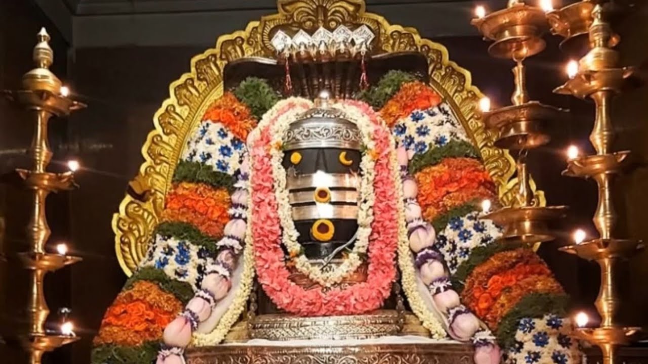 Shiva Devotional Tamil Song | ஓம் நமசிவாய – மனம் உருக்கும் சிவ துதி | Powerful Bhakti | Mahadev