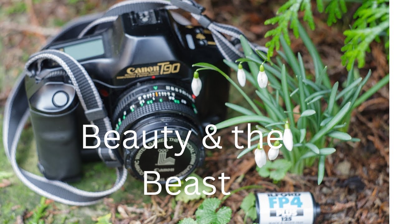 Beauty and the beast - Canon T90 amongst the snowdrops