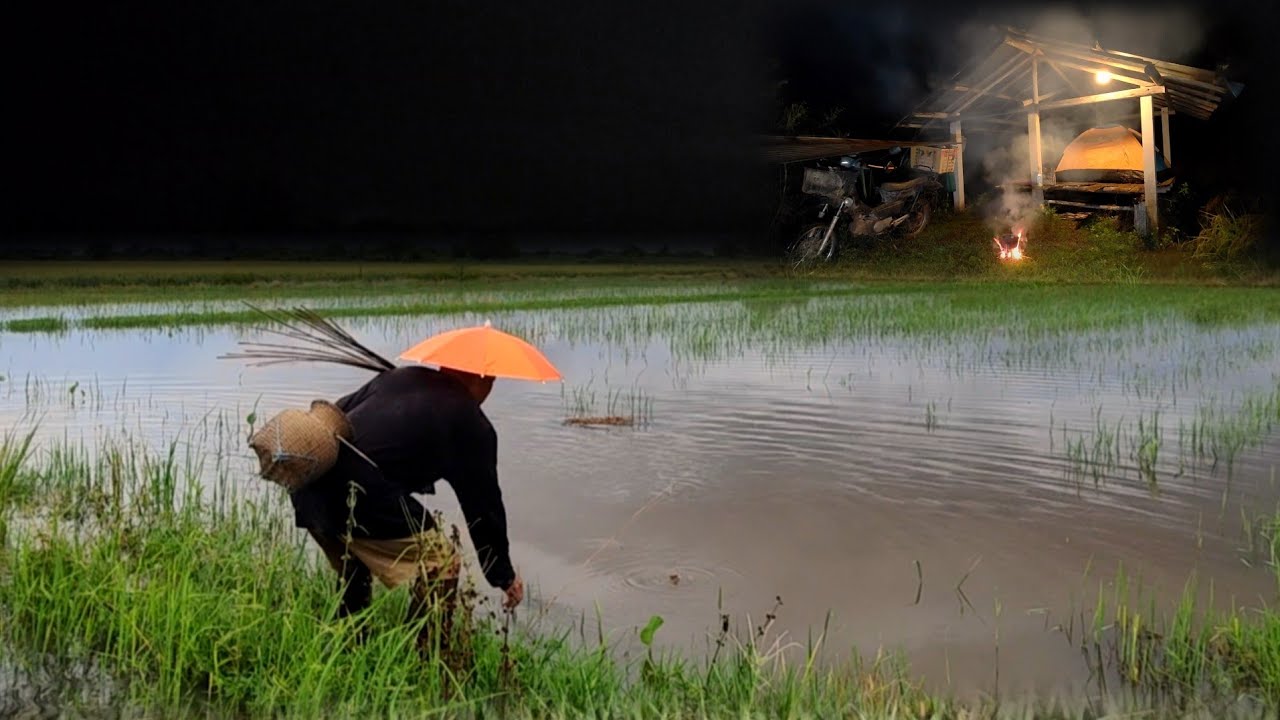 ช่วงนี้ฝนตกหนักน้ำนองเต็มทุ่งออกเลาะหาปักเบ็ดค้างคืนไม่น่าเชื่อปลาจะขึ้นอยู่ในทุ่งนา