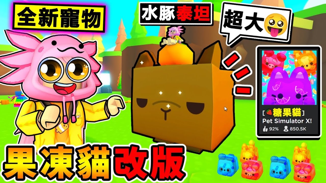 我得到了【水豚泰坦】全球限量1000隻！【寵物模擬器X】這就是世界上最可愛的泰坦！果凍大改版～全攻略！Roblox 機械方塊