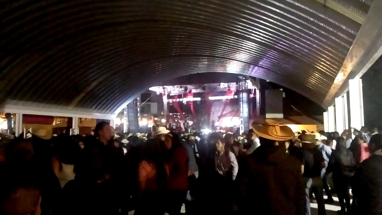 Carbajal texcaltitlan 2019