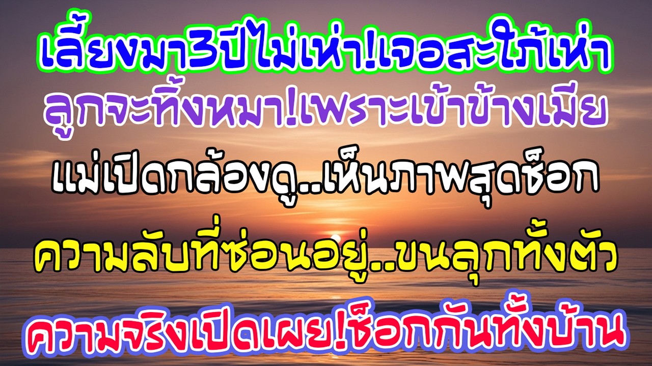 หมาจรฉันเลี้ยง3ปีไม่เคยเห่า เจอสะใภ้กลับเห่าไม่หยุด ลูกชายจะเอาไปปล่อย พอเปิดกล้องฉันขนลุก