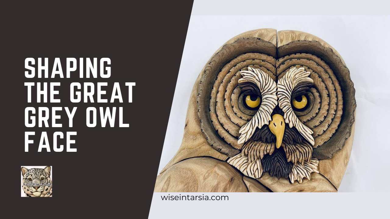 Shaping the face of my Great Grey Owl intarsia woodworking pattern.