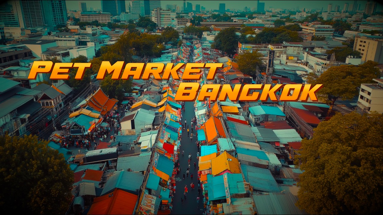 🌿 Bangkok Plant Market 🌴 Chatuchak Geheimtipp für Pflanzenliebhaber!