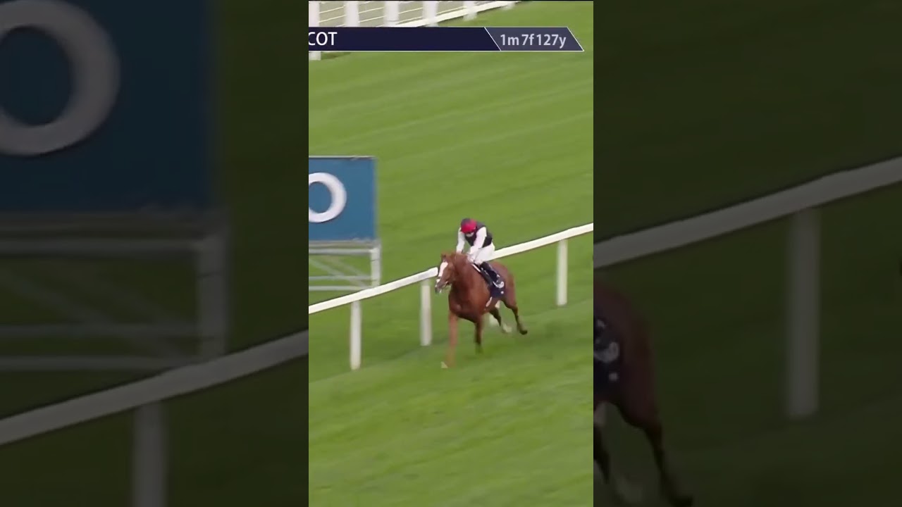 Kyprios - different gravy at Ascot 👏🏻 