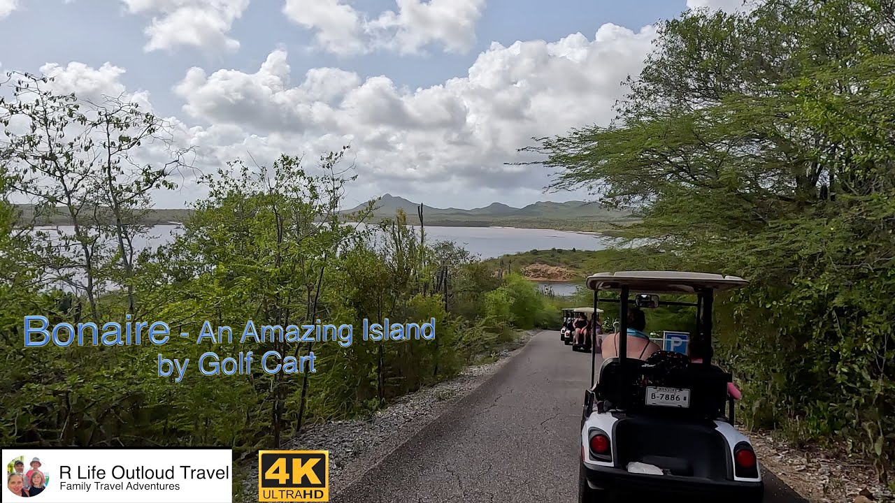 Exploring Bonaire by Golf Cart  | Carnival Celebration Family Cruise Day!