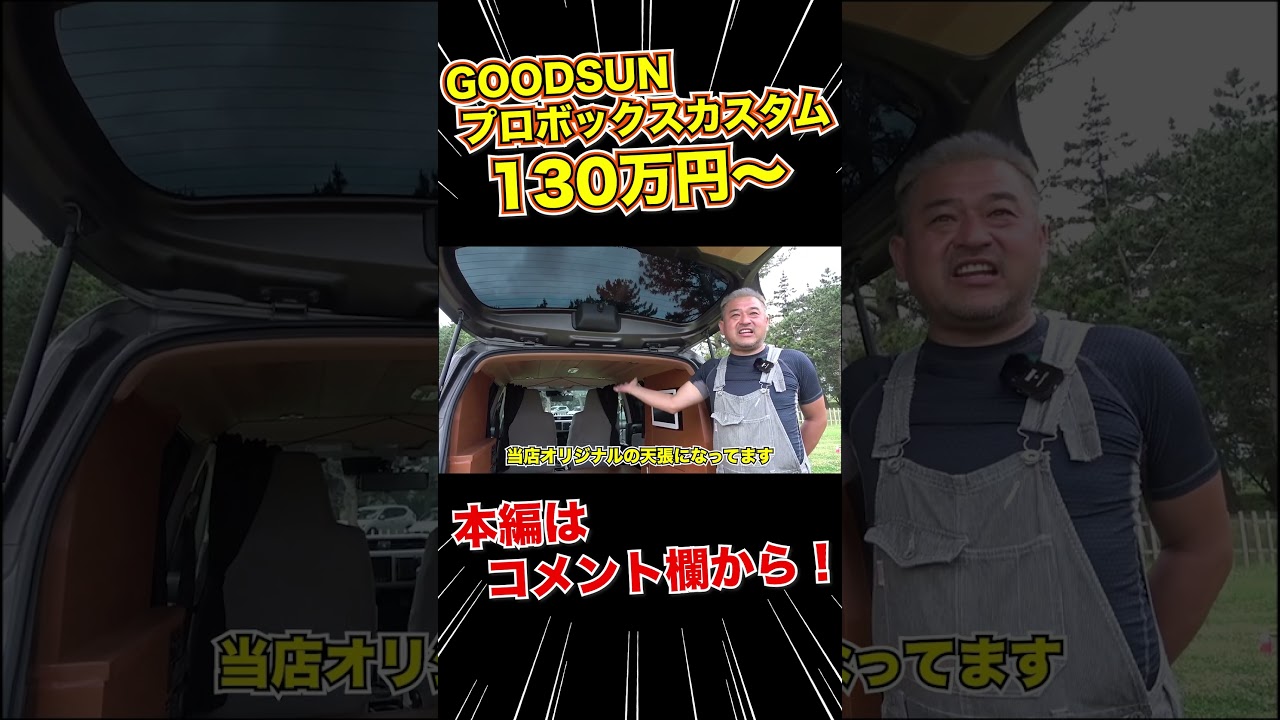 格安プロボックス車中泊仕様！！　#shorts  #プロボックス 　#車中泊