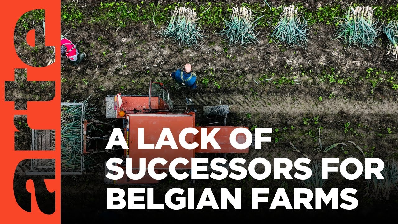 Belgium's farms are in danger | ARTE.tv Documentary