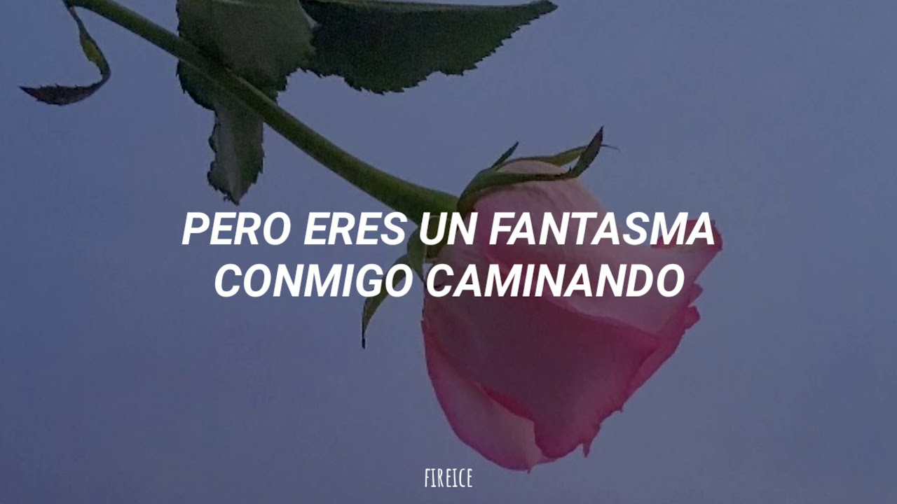✧Natalia Lafourcade - Lo que construimos || Subtitulado.⇇