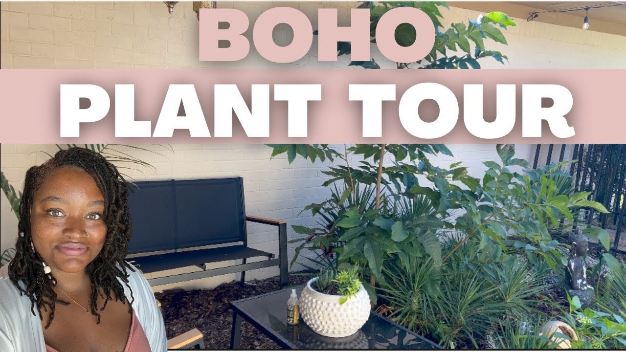 HOUSEPLANT TOUR | BOHO and Scandinavian Style + a beautiful outdoor courtyard oasis