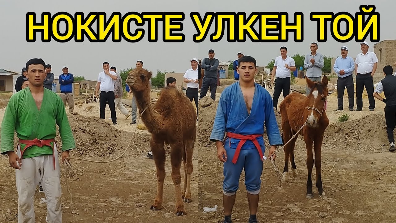 НОКИС КАЛАСЫНДА КУРЛЫ ТОЙ 4-МАЙ 2024-ЖЫЛ