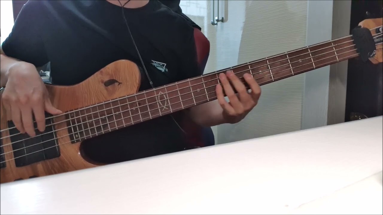 Los Temerarios - Se Que Te Amo (bass cover)