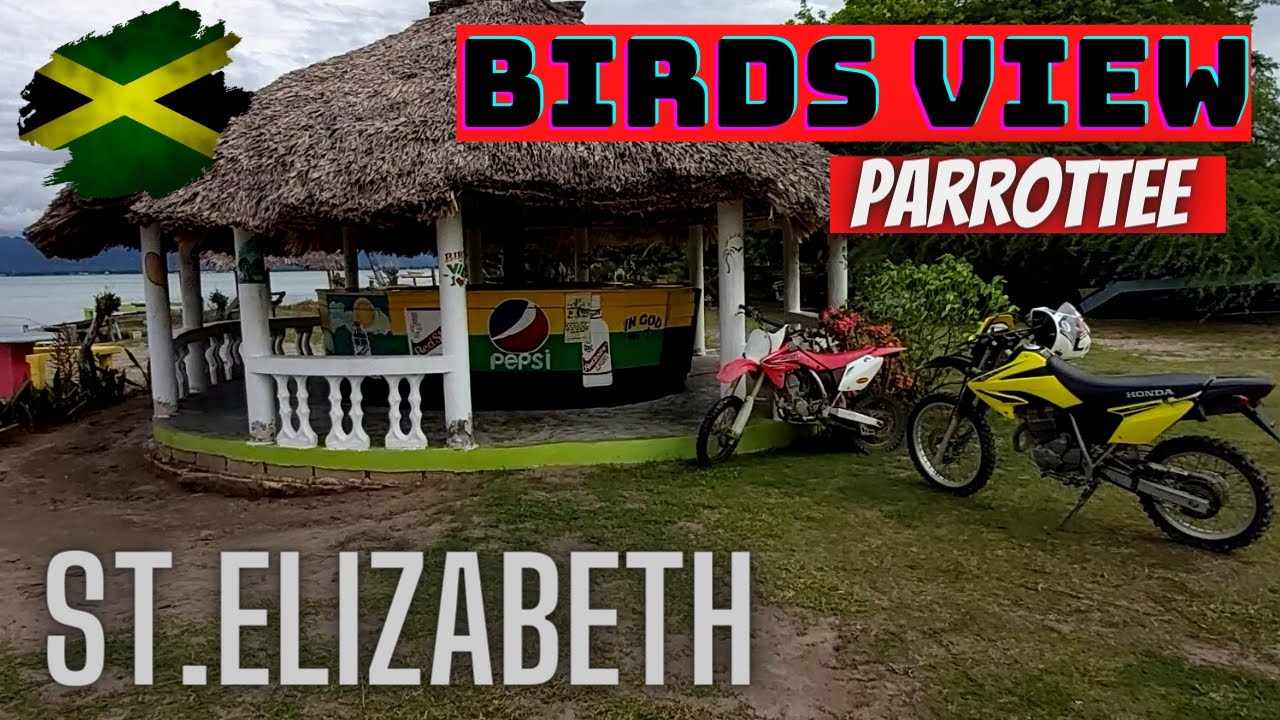 PLACE TO VISIT IN PARROTTEE ST.ELIZABETH JAMAICA BIRDS VIEW SEAFOOD JOINT