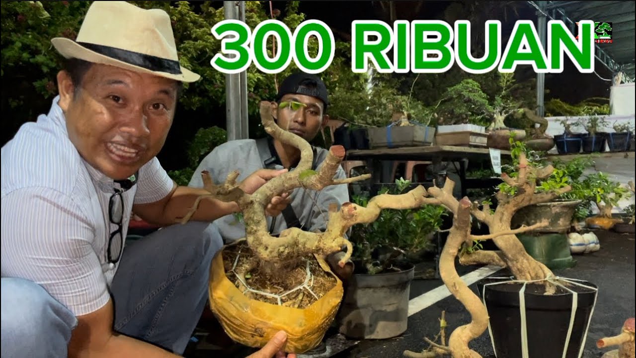 “STAR 300 RIBUAN” BURSA PAMNAS BANGLI