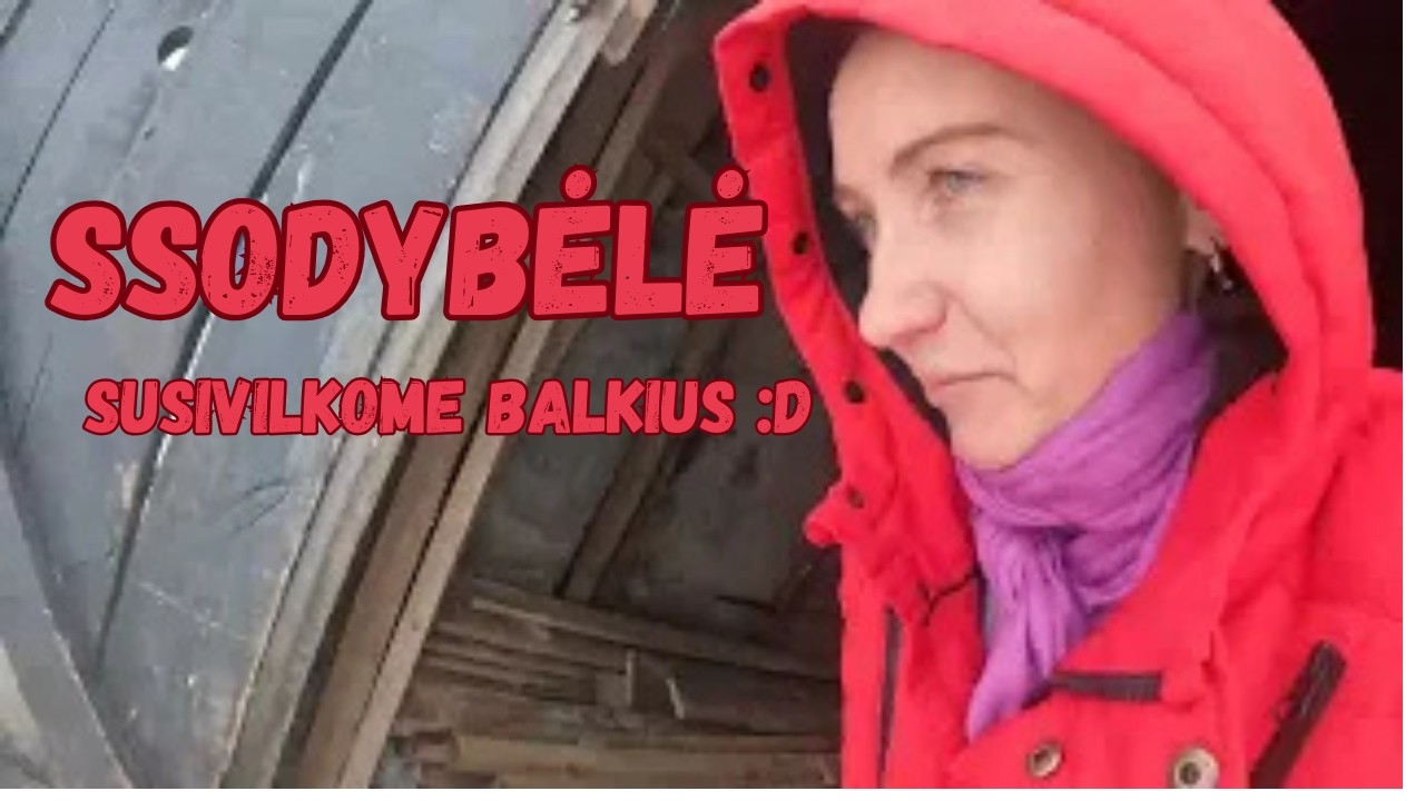 SSodybėlė #157 Pirma mediena namie. Puola zukiai :D