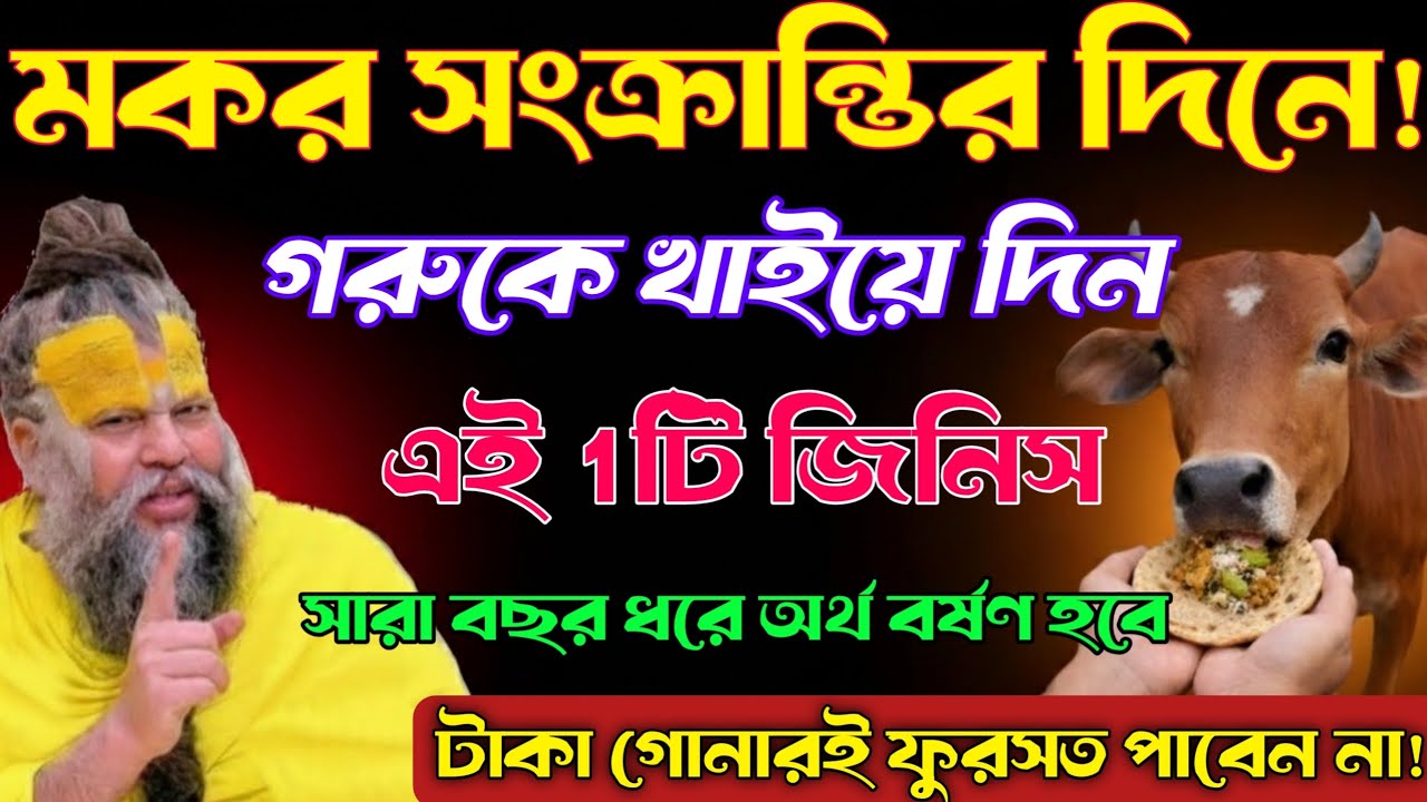 14জানুয়ারি মকর সংক্রান্তির দিনে গরুকে এই ১টি জিনিস খাইয়ে দিন—মালামাল হয়ে যাবেন
