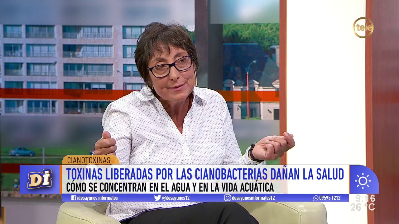 Cianotoxinas, las toxinas liberadas por las cianobacterias y que da&ntilde;an la salud