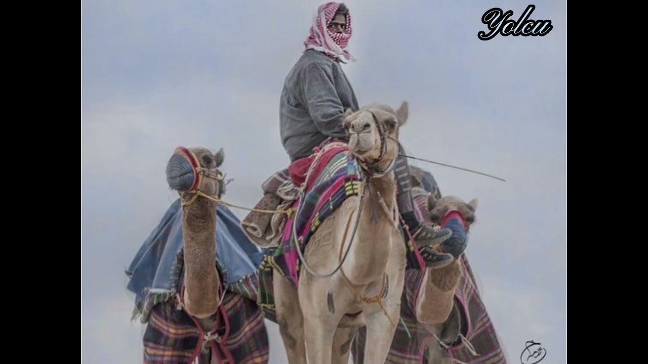 Arapça atebe |  عتب | يا يب