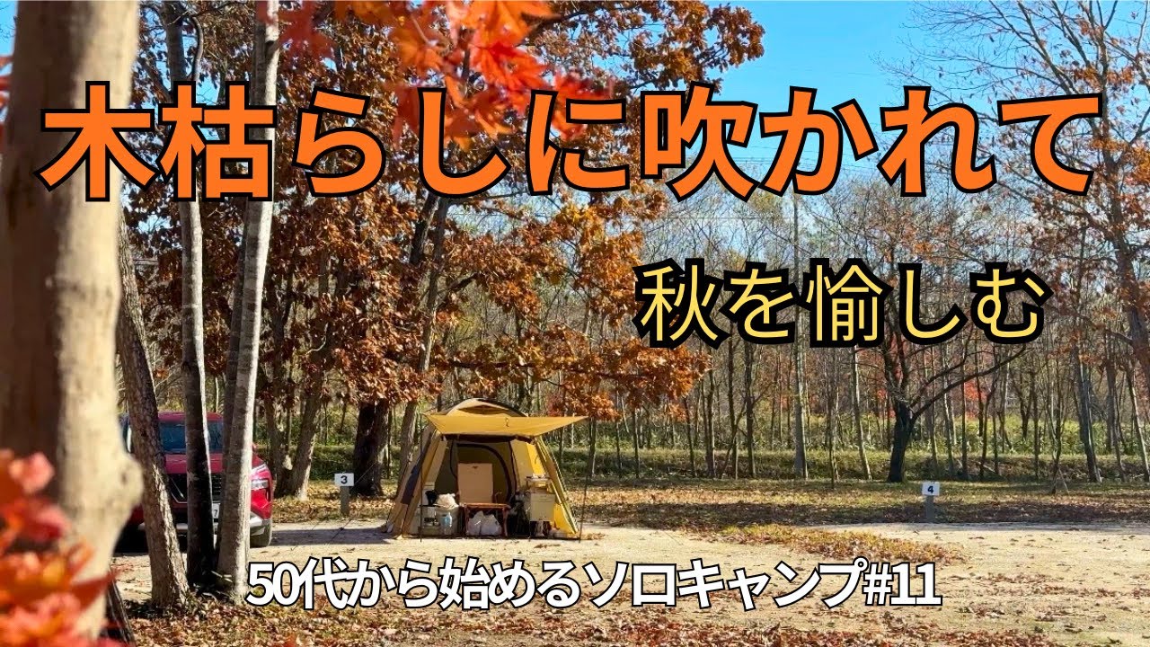 【北海道ソロキャンプ】ブウベツの森キャンプ場|落ち葉の絨毯で過ごす癒しの時間｜50代女性の秋キャンプ #11