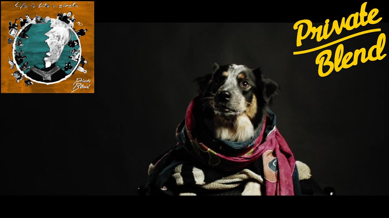 Music video with dogs / Life Is Like A Circle - Private Blend (Official Music Video)