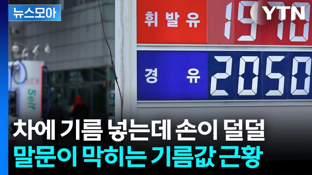 [뉴스모아] 