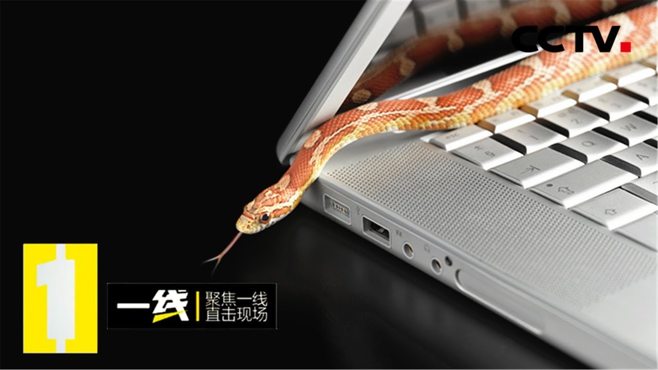 《一线》杀手在途：网络悬赏 买凶杀人的背后主使竟然是她 20191016 | CCTV社会与法