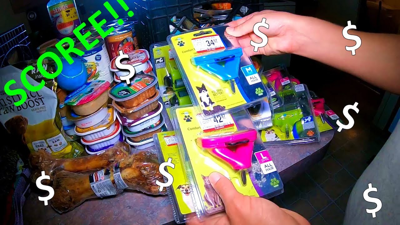 INCREDIBLE Dumpster Diving Jack Pot LOOK What She Found