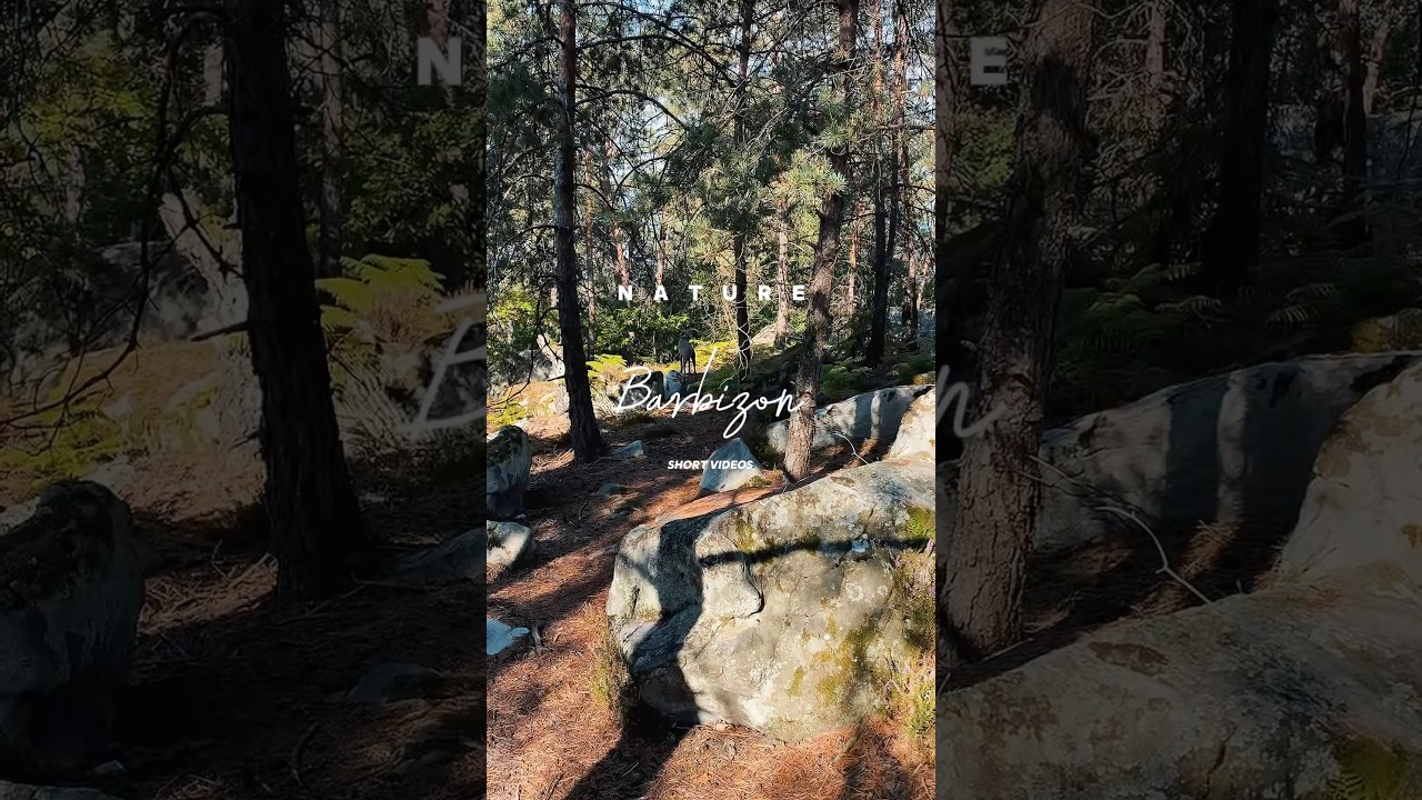 Праисторический лес Фонтенбло