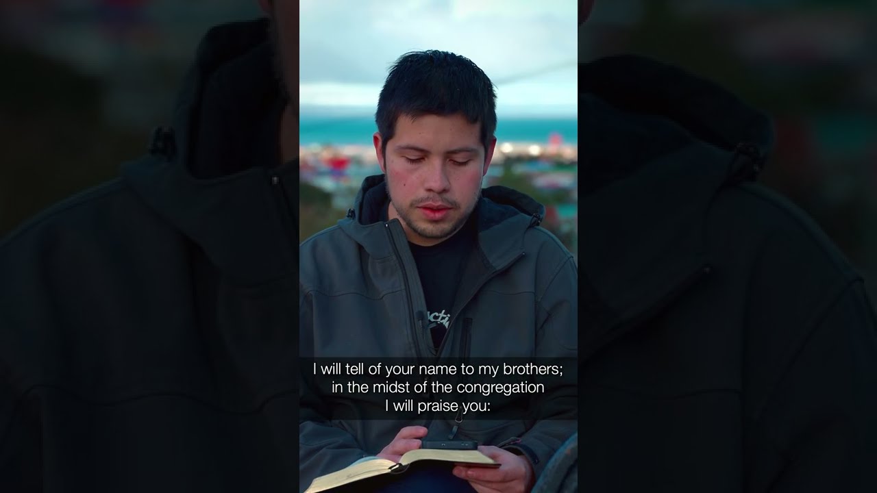 they pierced my hands and feet - Psalm 22:16-22