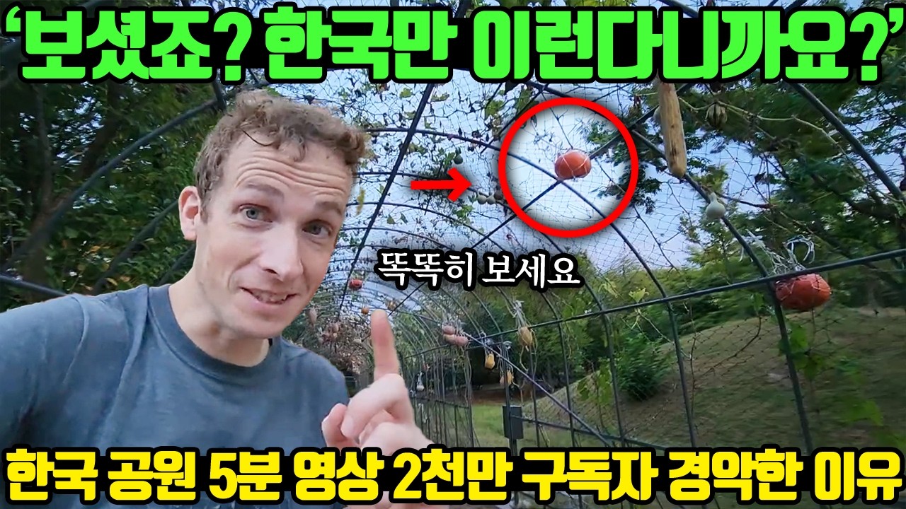 '보셨죠? 한국만 이런다니까요?' 한국 공원 5분 영상 2천만 구독자 경악한 이유