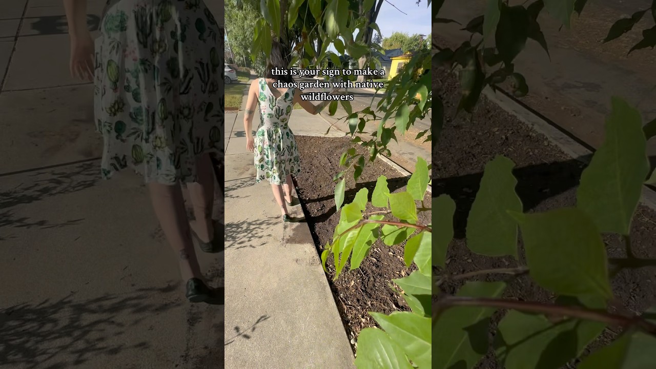 Making a #chaosgarden with native wildflowers! 💐 #gardening #wildflowers #nativeplants #earthday