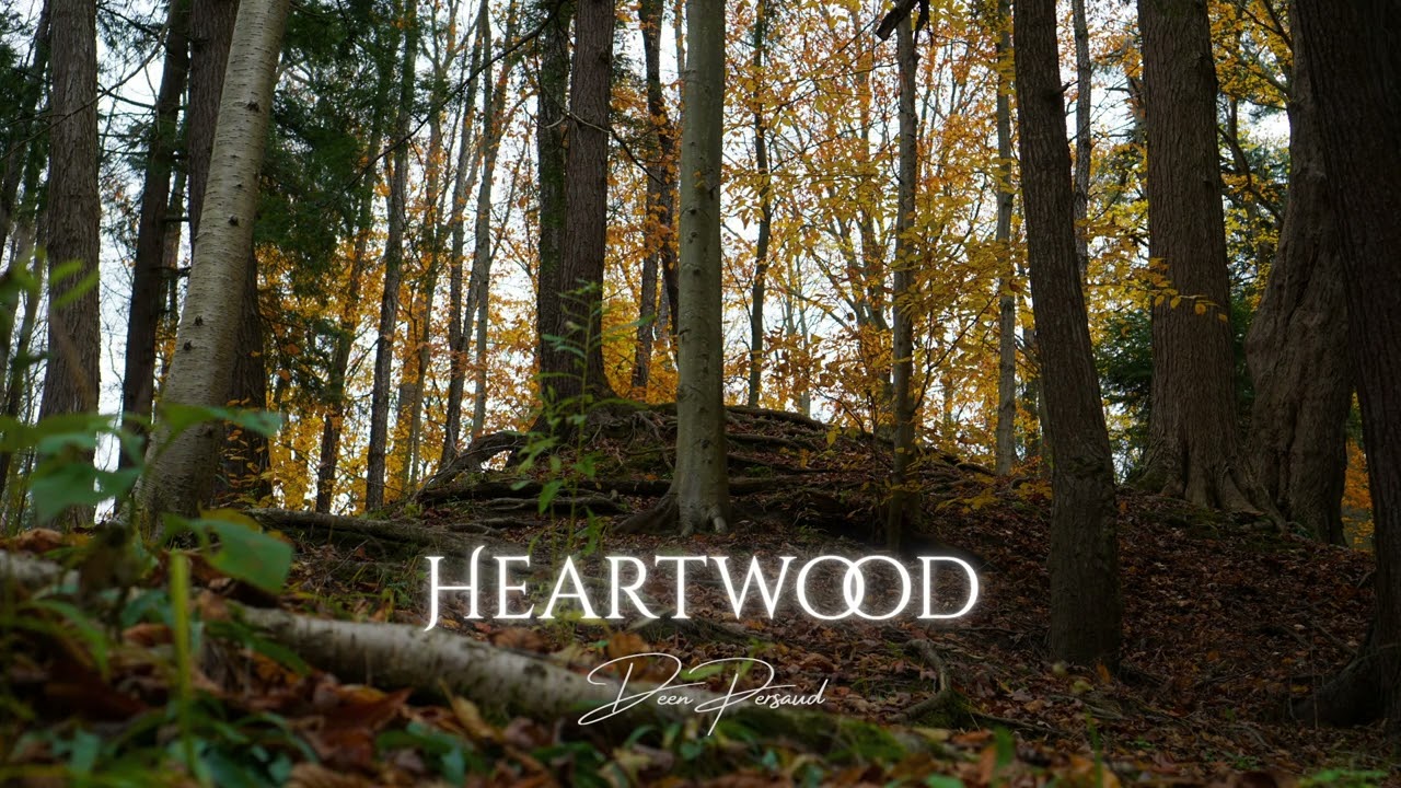 Deen Persaud - Heartwood (Official Audio)