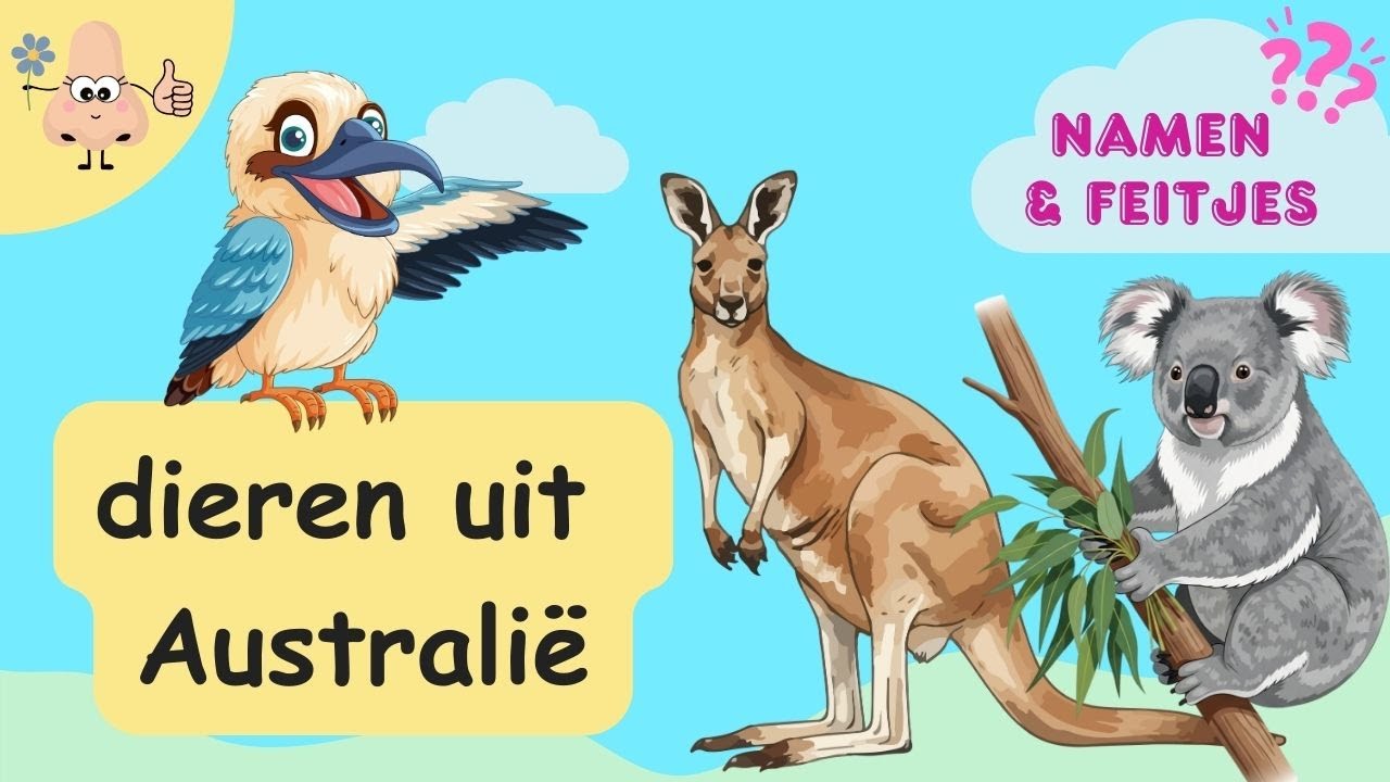 Dieren uit Australi&euml; Leren &ndash; Woordenschat voor Peuters & Kleuters