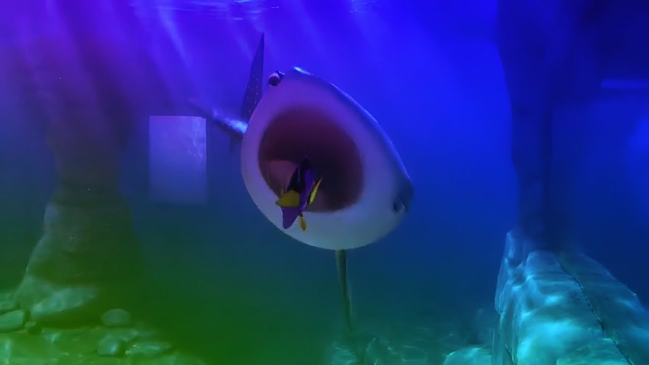 Finding Dory - ALMOST GOT EATEN!! (Sparta pitch sponsored by: Gamavision Csupo Effects)