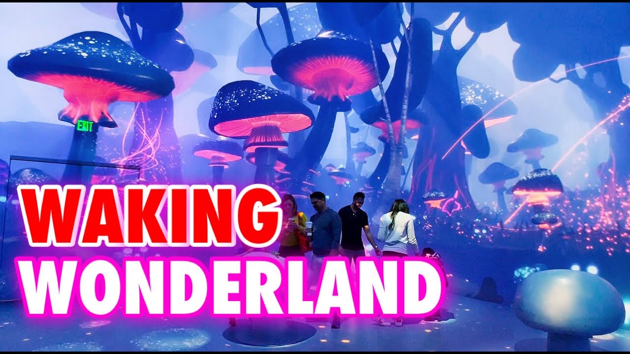 Illuminarium, ATLANTA (Full Tour) Waking Wonderland. An Immersive Adventure!