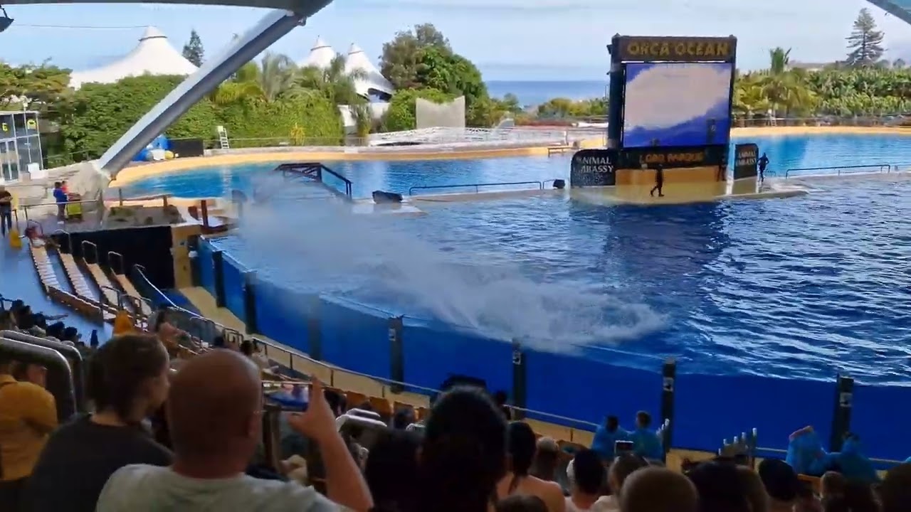 Tenerife 2024