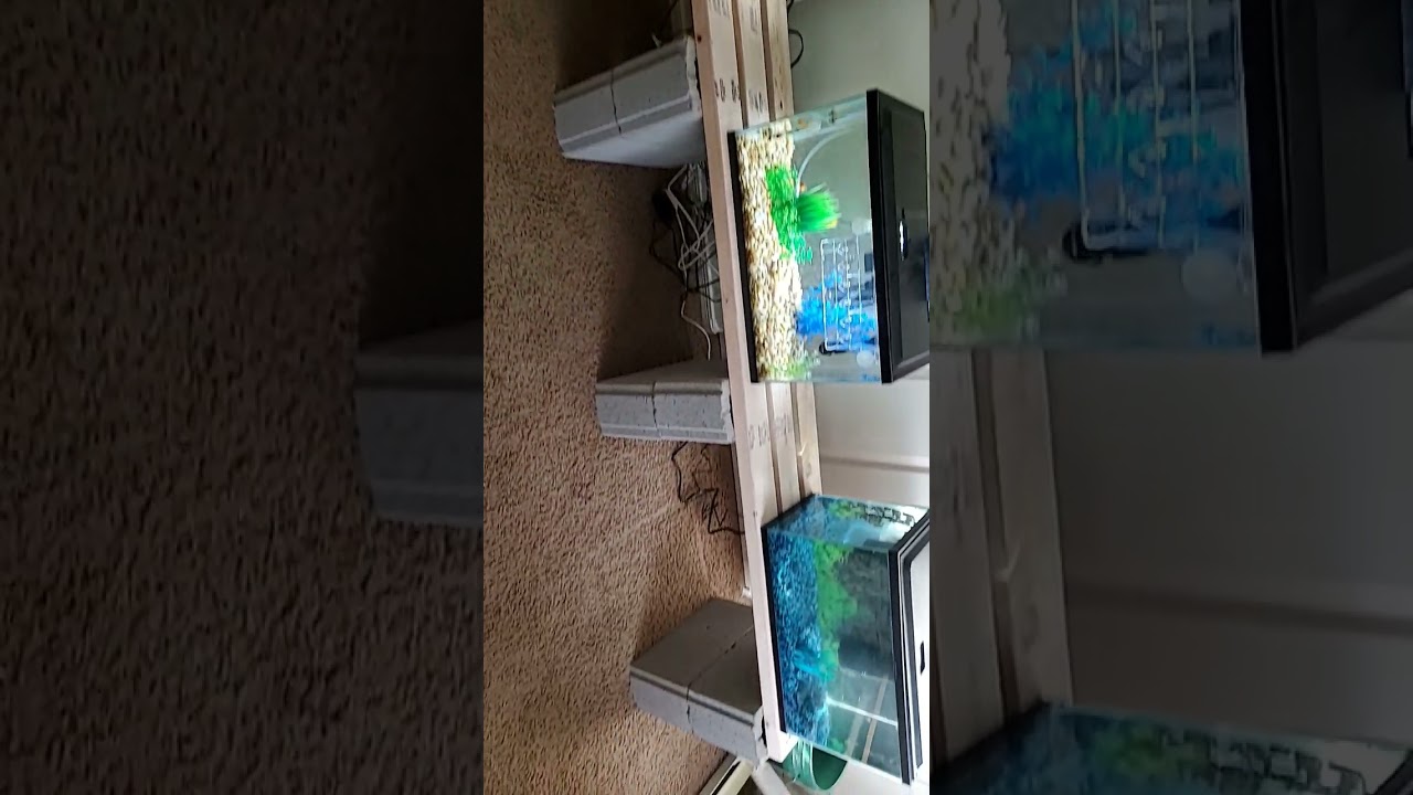 Diy cheap multiple aquarium stand #aquarium