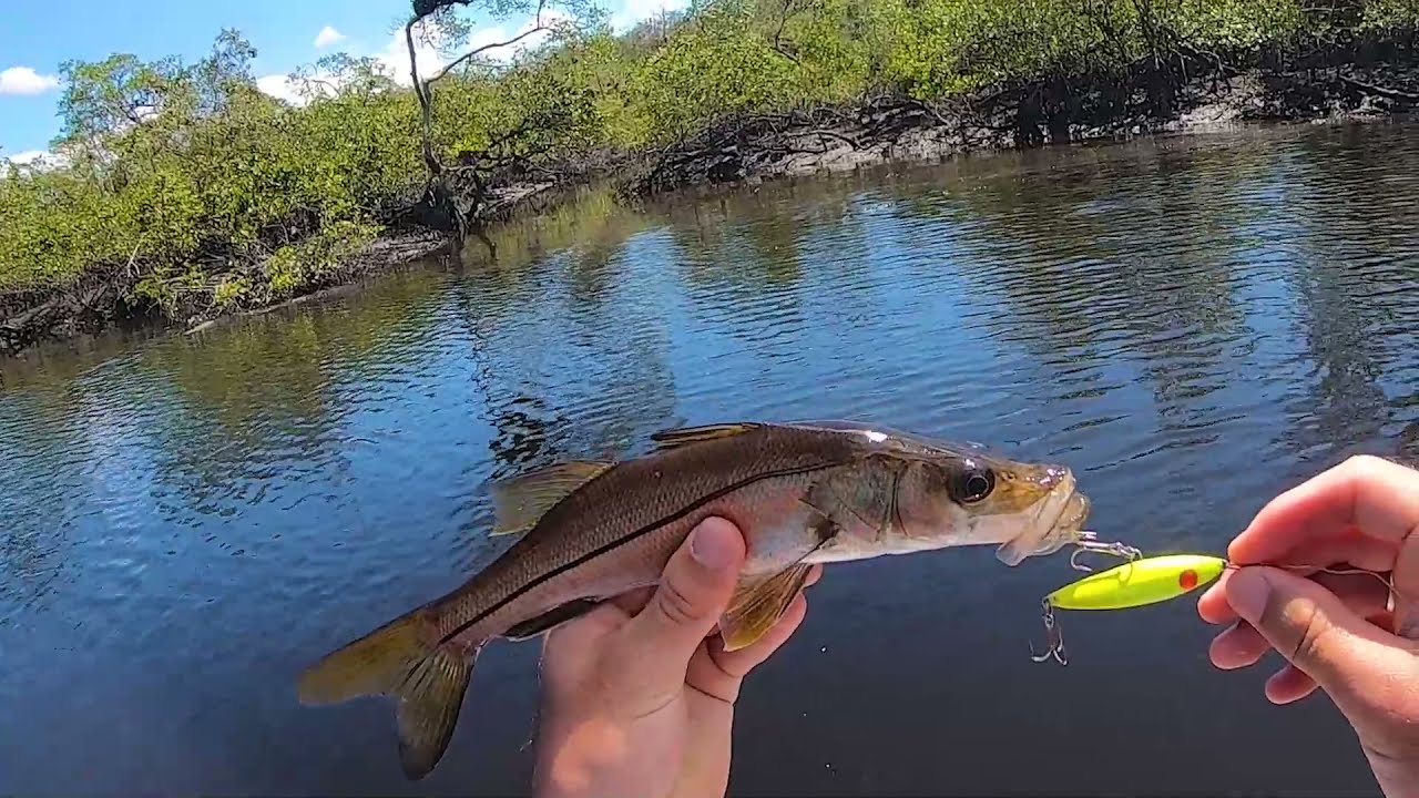 MUITO ROBALO NA SUPERFÍCIE, O ULTRALIGHT CANTOU