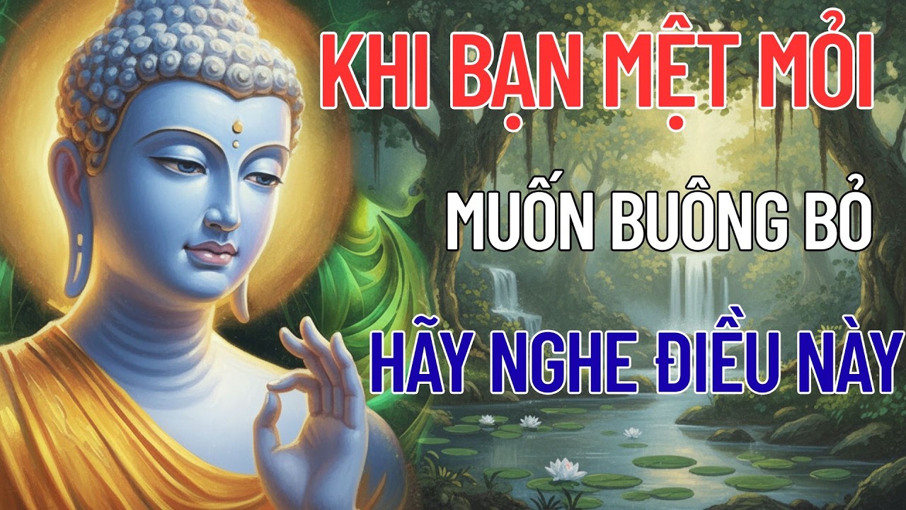 LỜI PHẬT DẠY NGHE MỖI TỐI: Khi Bạn Cảm Thấy Mình VÔ DỤNG