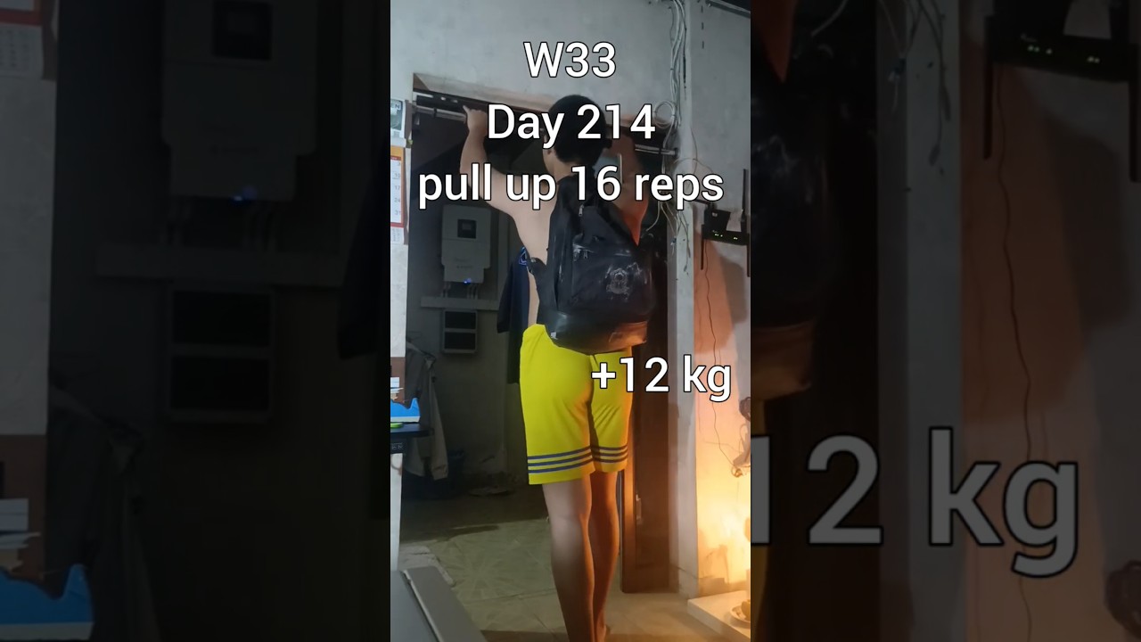 W33 Day 214 pull up 16 reps +12 kg.