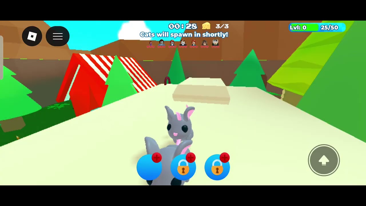 rbxx_diva