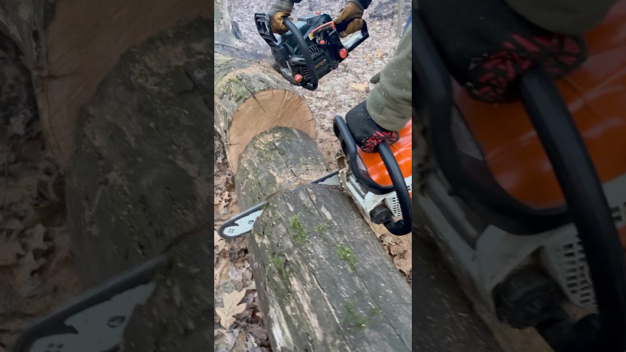 STIHL - MS 170 vs DNIPRO-M