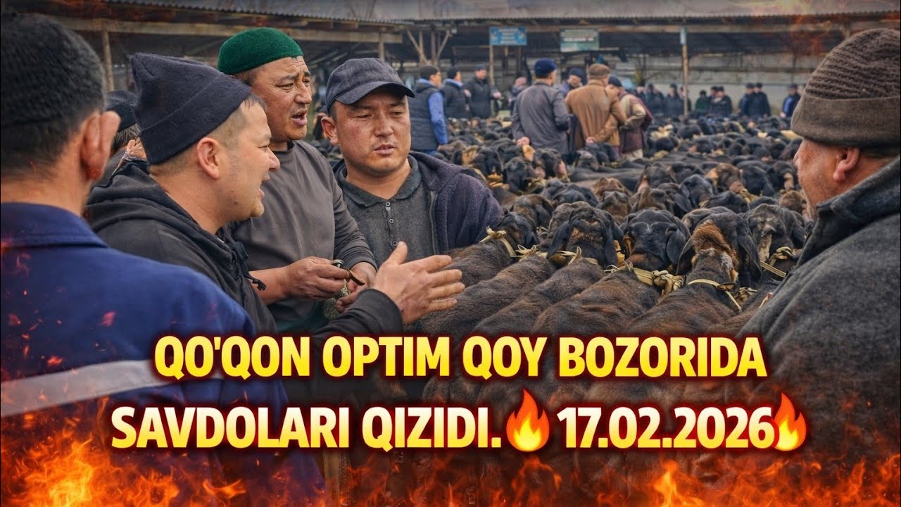 QOʻQON OʻPTIM QOʻY BOZORIDA SAVDOLAR QIZIDI ✅️✅️✅️✅️
