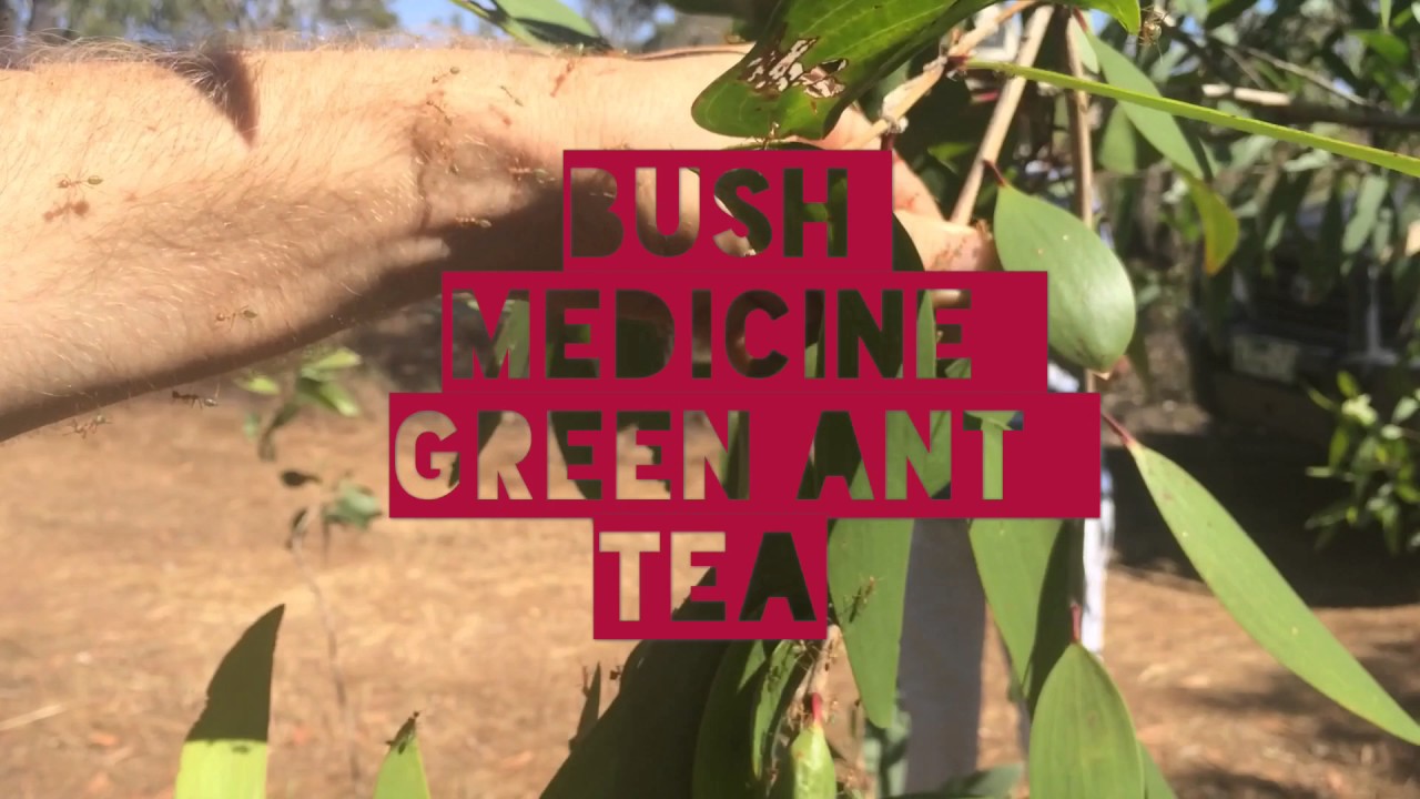 Going Bush in the Arnhemland Escarpment