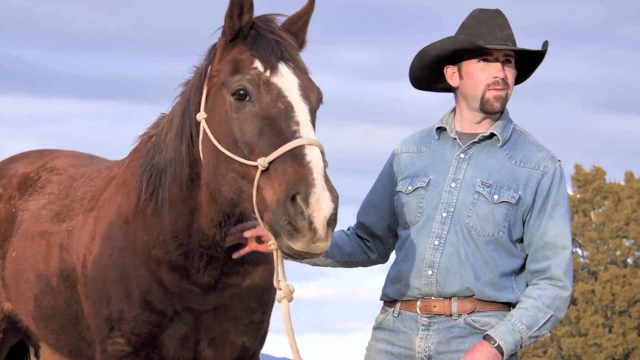 Horses For Heroes Horses For Healing