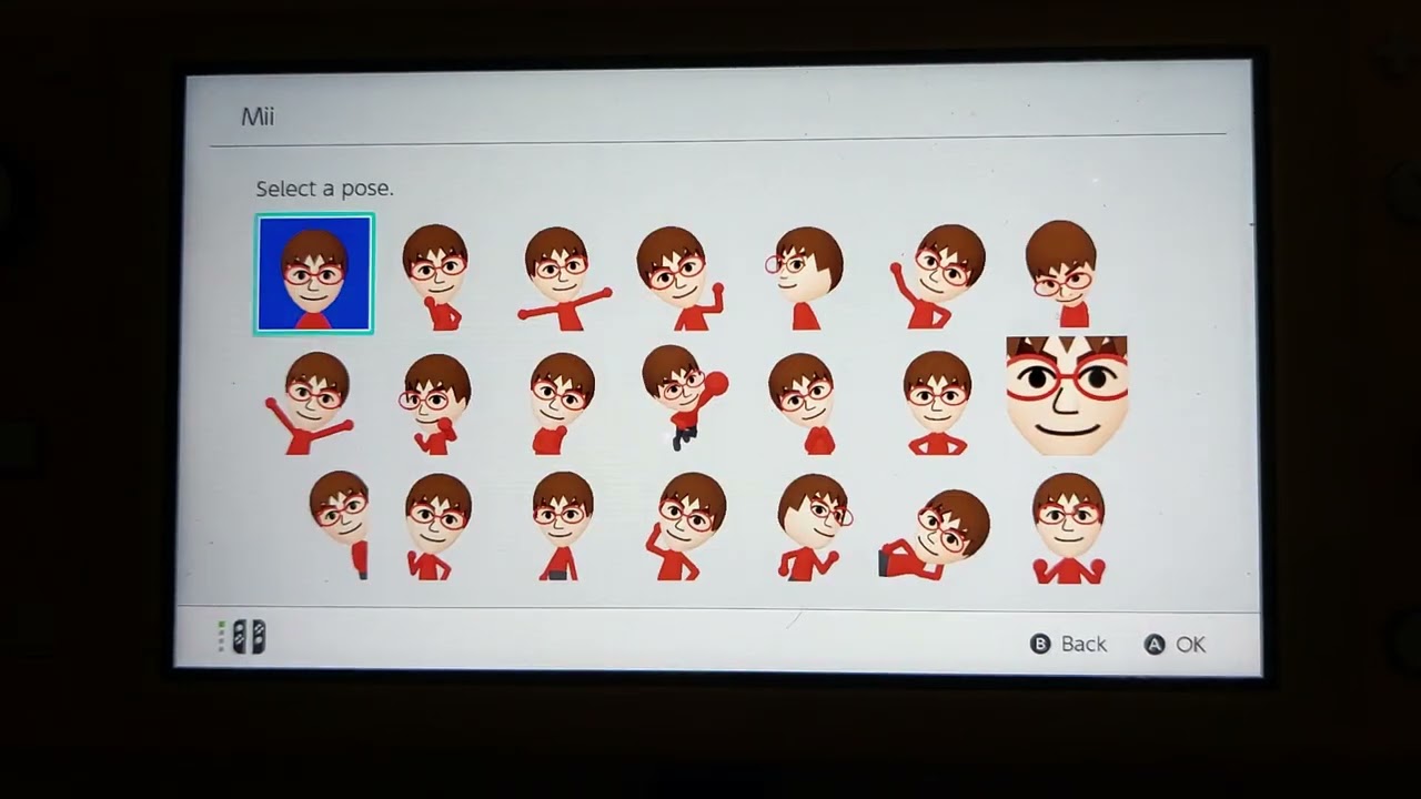 👍All 100 Mii collection on the Nintendo Switch Lite.👍