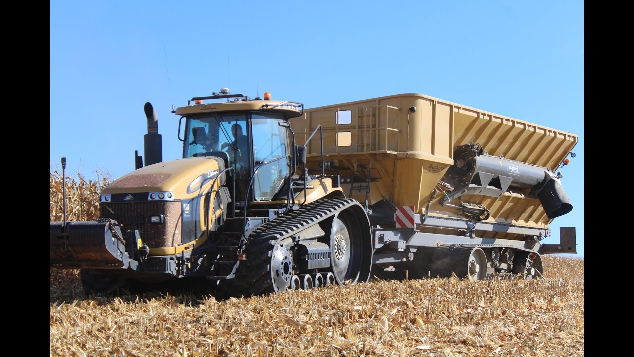 Big chantier de maïs avec un transbordeur Brochard de 45 m3