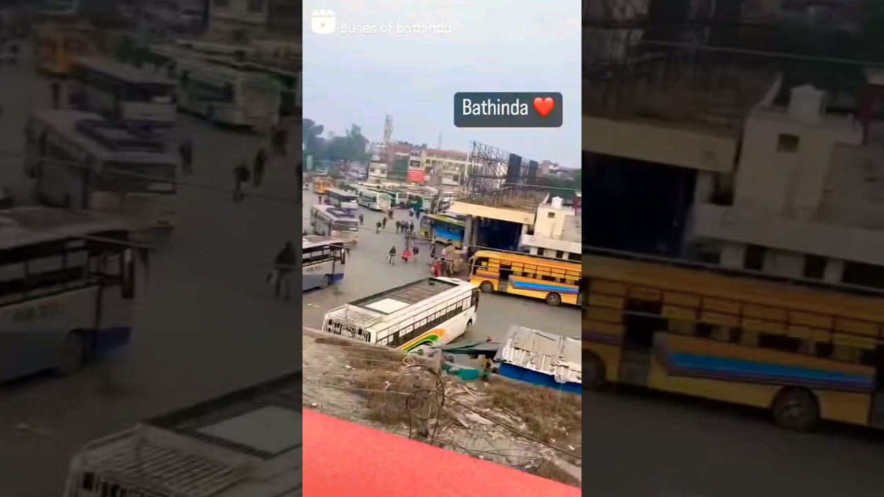 bathinda bus stand 🥀🥀 amazing bus shorts 🥀🥀 buses of bathinda 🥀🥀#trending #bus #amazing #travel #10k